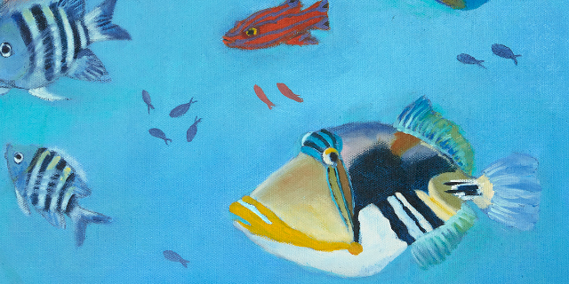 diversity-on-the-coral-reef Image