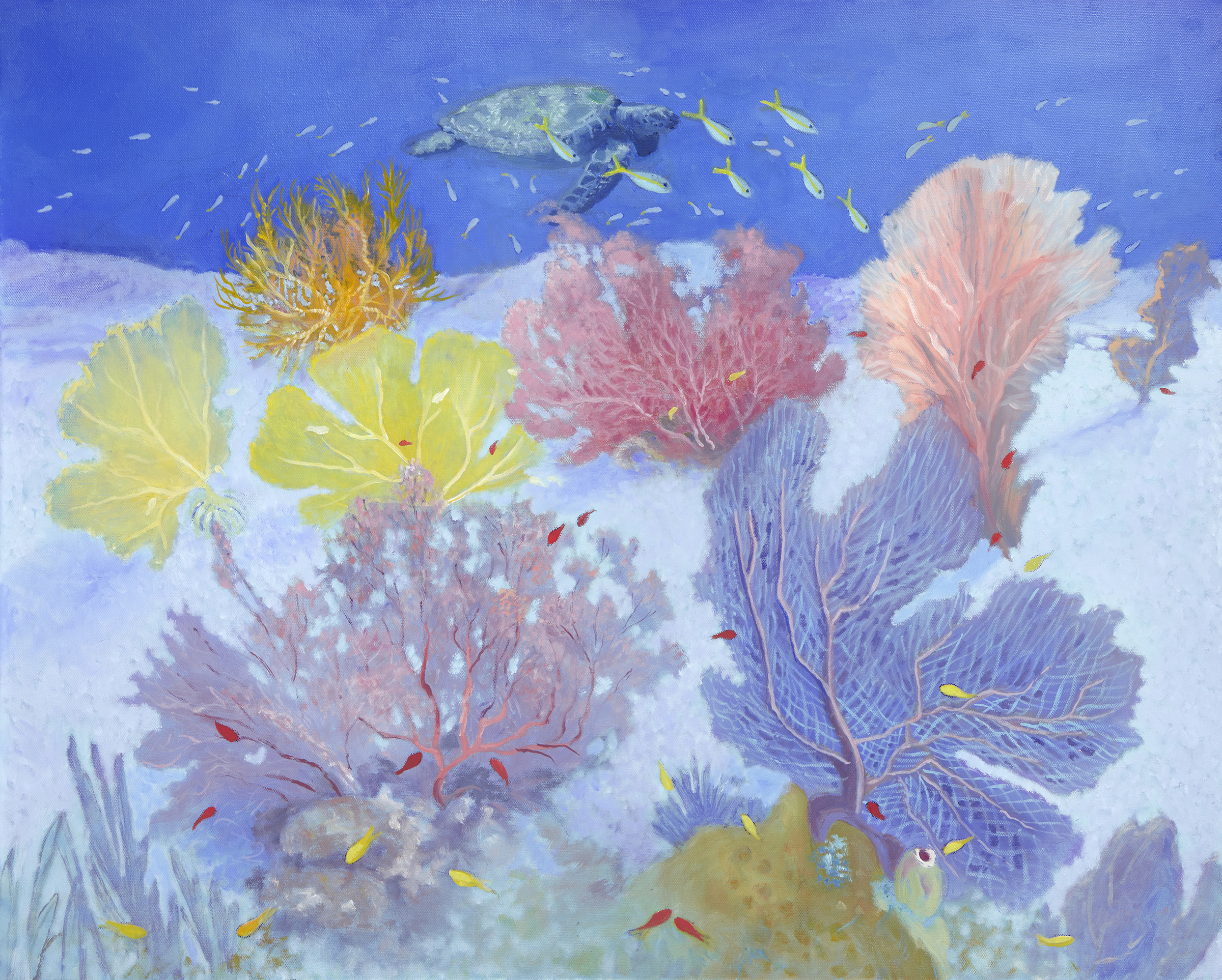 Image Related to the Content on this Web Page