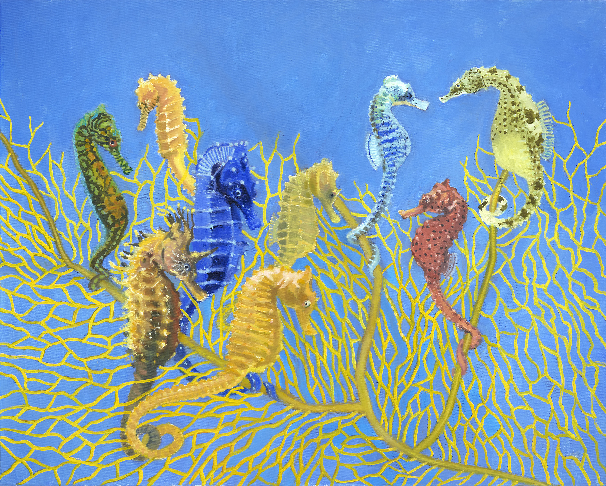 Image Related to the Content on this Web Page